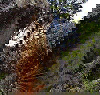 Mystery Face Walking Track - Yamba Accommodation