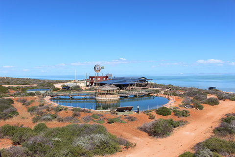 Ocean Park Aquarium - Yamba Accommodation 1