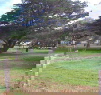 Old Cemetery Kingscote - Yamba Accommodation