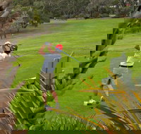 Pambula Merimbula Golf Club - Yamba Accommodation