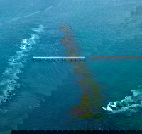 Port Noarlunga Reef Sanctuary Zone - Encounter Marine Park - Yamba Accommodation