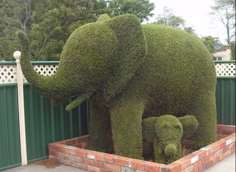Railton: Town Of Topiary - Yamba Accommodation 0