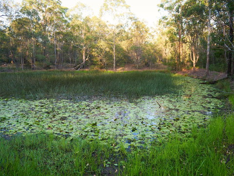 Raysource Road - Yamba Accommodation 2