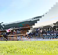 Rosehill Gardens Racecourse - Yamba Accommodation