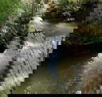 Second Ponds Creek Walk - Yamba Accommodation