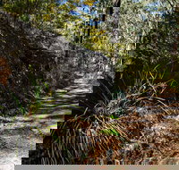 Starlights Trail - Yamba Accommodation