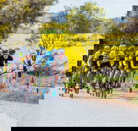 The Heron's Highway - Avon River Cycle Trail - Yamba Accommodation