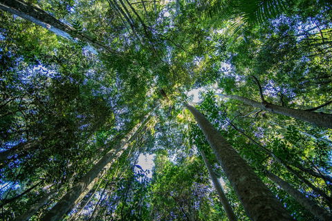 Thylogale Track - Yamba Accommodation 1