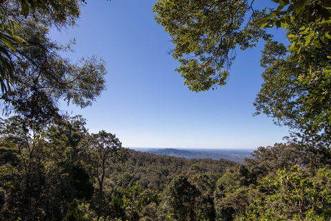 Thylogale Track - Yamba Accommodation 2