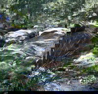 Towarri National Park - Yamba Accommodation
