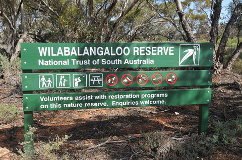 Wilabalangaloo Reserve - Yamba Accommodation 0