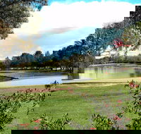 Yowani Country Club Incorporated - Yamba Accommodation