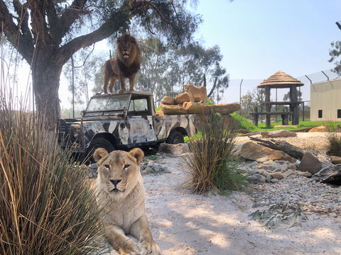 Zambi Wildlife Retreat - Yamba Accommodation 0