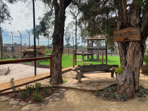 Zambi Wildlife Retreat - Yamba Accommodation 1