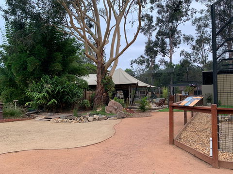 Zambi Wildlife Retreat - Yamba Accommodation 2