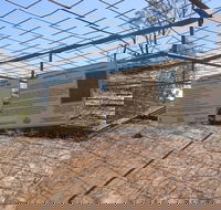 Aboriginal Carvings - Yamba Accommodation