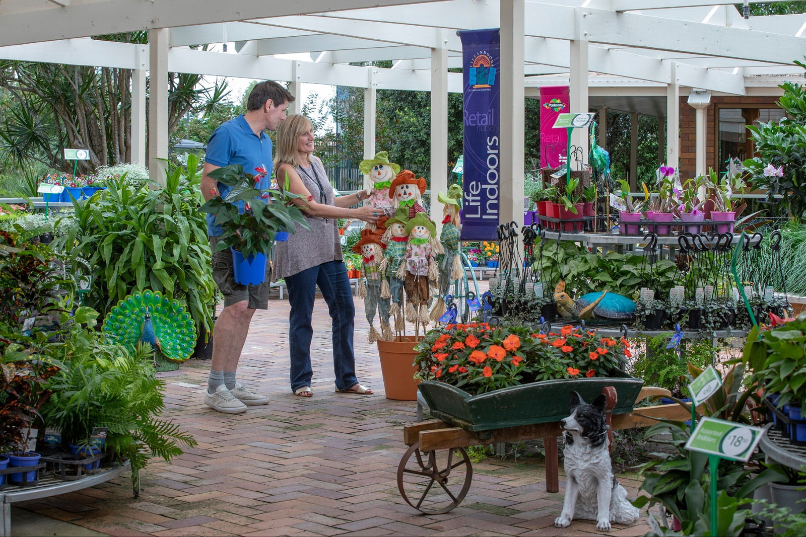 Adare QLD Yamba Accommodation