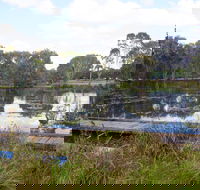 Baldwin Swamp Environmental Park - Yamba Accommodation
