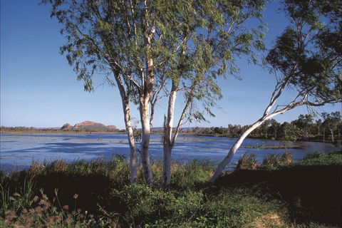 Bandicoot Bar - Yamba Accommodation 0