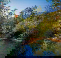 Bargo State Conservation Area - Yamba Accommodation