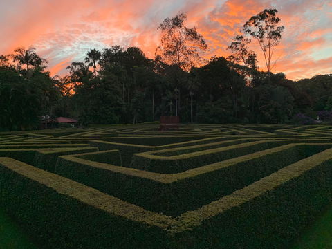 Bellingham Maze - Yamba Accommodation 0