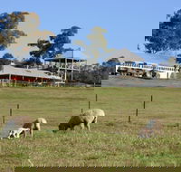 Calmsley Hill City Farm - Yamba Accommodation