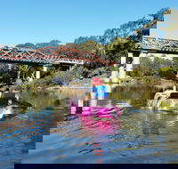 Canoeing at Clarence Town - Yamba Accommodation