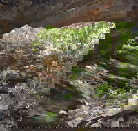 Cave Creek Walking Track - Yamba Accommodation