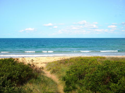 Culburra Surf Beach - Yamba Accommodation 1