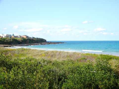 Culburra Surf Beach - Yamba Accommodation 2