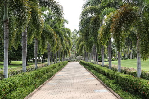 Dan Gleeson Memorial Gardens - Yamba Accommodation 0