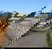 Darkes Forest Riding Ranch - Yamba Accommodation