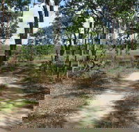 Djukbinj National Park - Yamba Accommodation