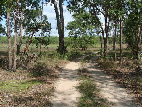 Djukbinj National Park - Yamba Accommodation 0