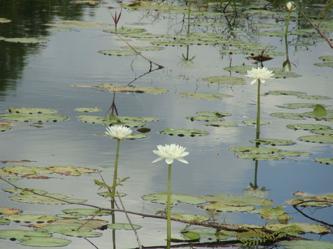 Djukbinj National Park - Yamba Accommodation 1