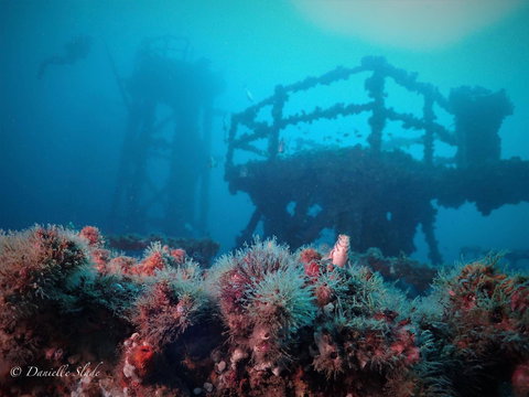 Ex HMAS Adelaide - Yamba Accommodation 0