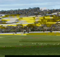 Fini Olives - Yamba Accommodation