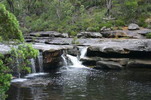 Georges River Nature Reserve - Yamba Accommodation 0
