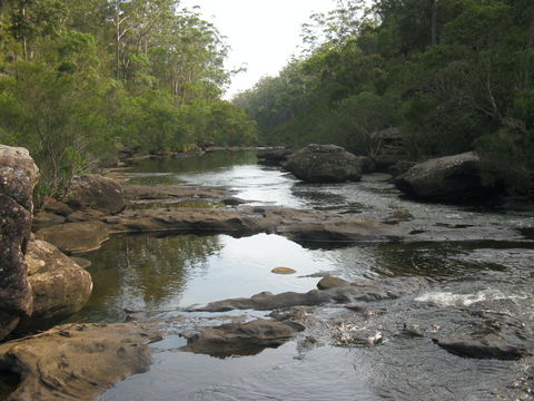 Georges River Nature Reserve - Yamba Accommodation 2