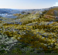 Gold Coast Hinterland Great Walk - Yamba Accommodation