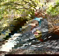 Haig Street Quarry Bushland Reserve Trails - Yamba Accommodation