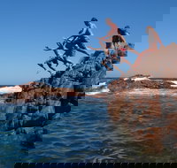 Hillocks Drive - Yamba Accommodation