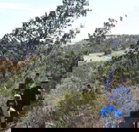 Kinchina Conservation Park - Yamba Accommodation