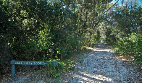 Lillypilly Loop Trail - Yamba Accommodation 0