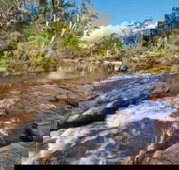 Little Dandahra Creek Walking Track - Yamba Accommodation