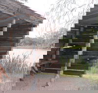 Martin Bend Wetland and Walking Trail - Yamba Accommodation