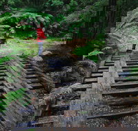 Montezuma Falls - Yamba Accommodation