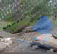 Northbrook Mountain Bush Camp - Yamba Accommodation