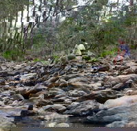 Rocksberg Park Heritage Reserve - Yamba Accommodation