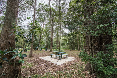 Rocksberg Park Heritage Reserve - Yamba Accommodation 1